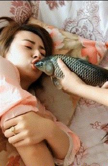 搞笑gif开心,搞笑gif开心视频