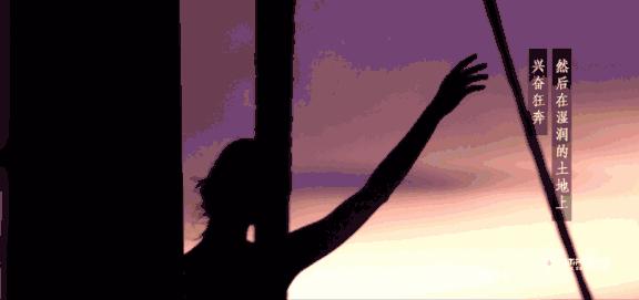 免签的亚洲海滩,六个免签海岛颜值完爆马岱