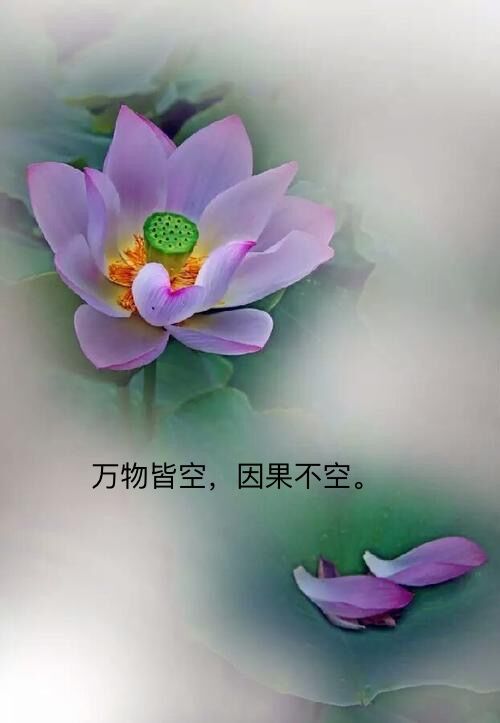 心中的神明,心中的神明作文