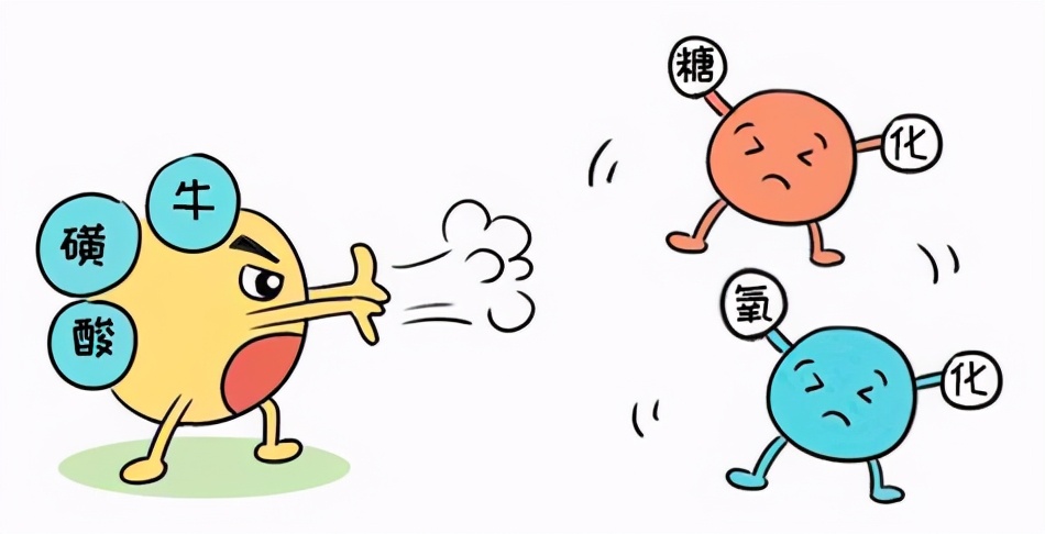 老年补脑健脑保健品,补脑健脑增强记忆力的保健品