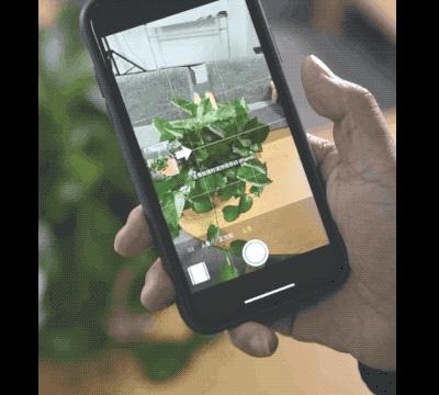 你不知道的80%的iphone相机功能,iphone相机选高效还是兼容性最佳