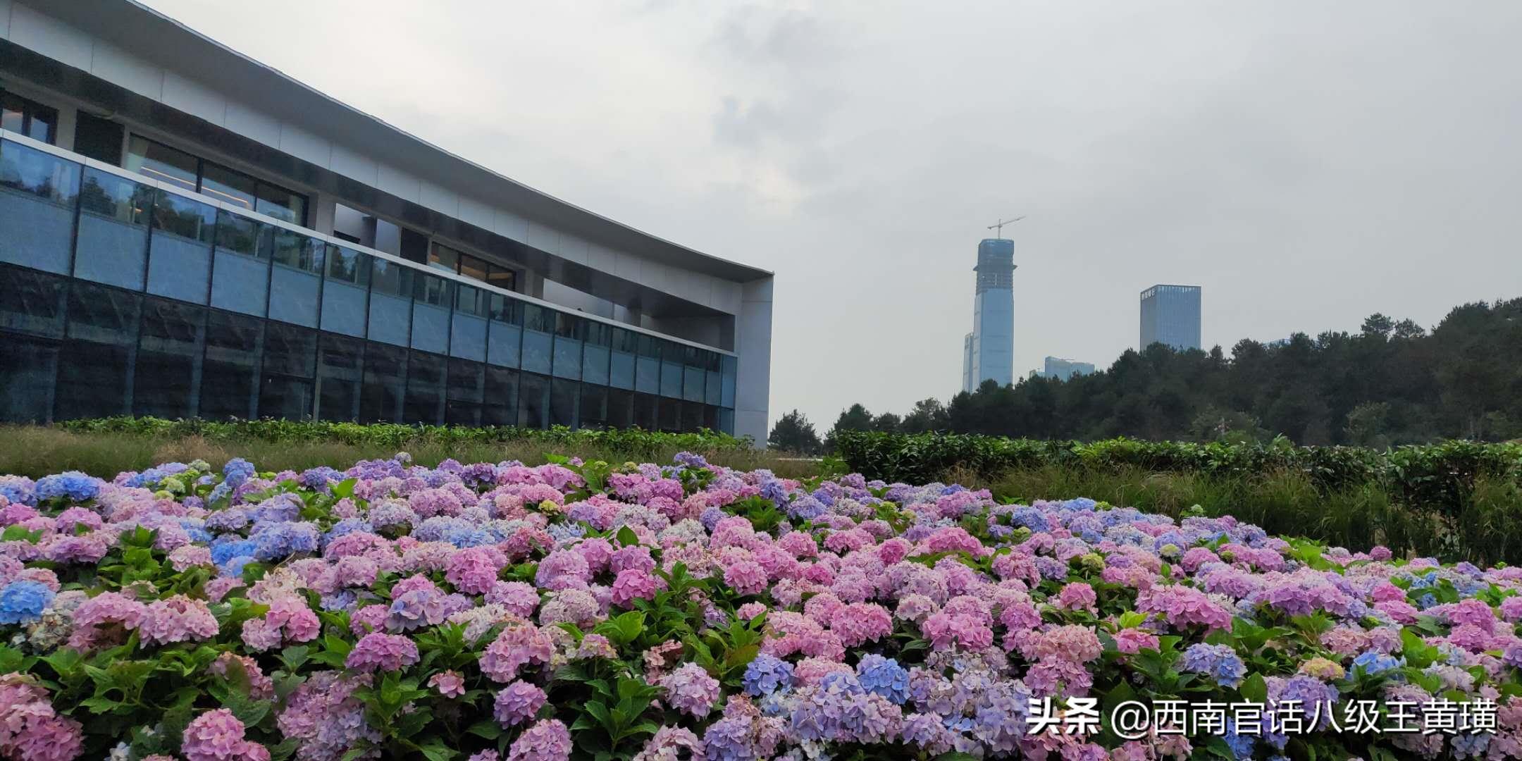 看房全过程讲解视频,实地看房买房攻略