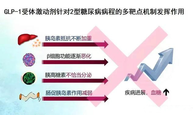 新降糖药百达扬多少钱一盒,降糖药400元一盒