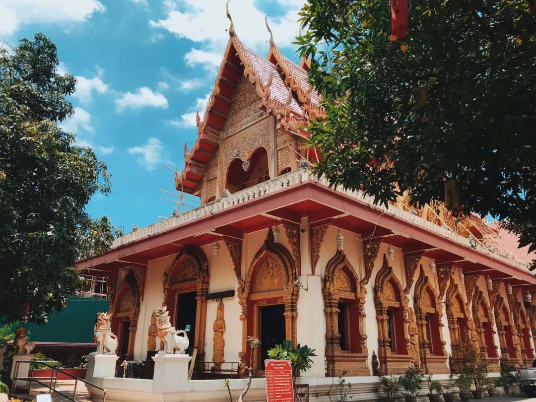 曼谷必买，清迈必玩，二刷泰国经验帖带你避坑