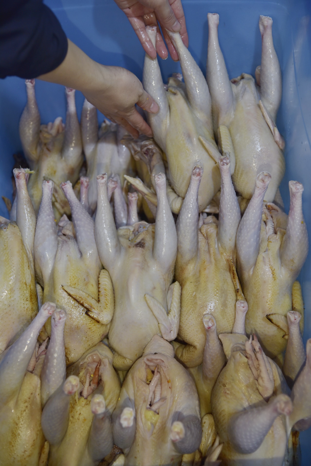 椒麻鸡开店创业,鹤壁豫哥麻椒鸡加盟要多少钱