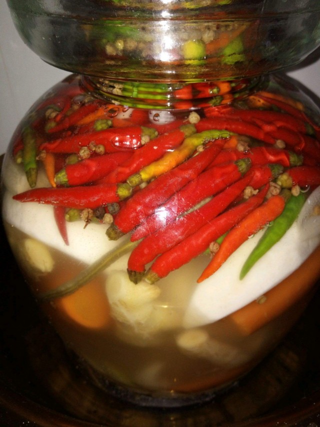 简单好吃四川泡菜最正宗的做法,四川泡菜教程开胃又下饭