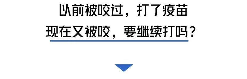 被猫狗咬伤如何正确处理,被猫狗咬伤十天了还能打针吗