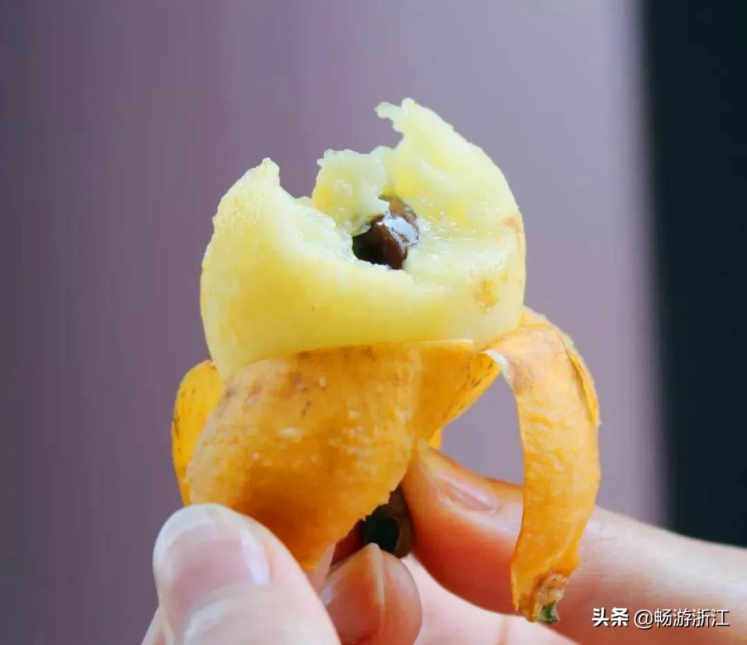 普吉岛到底是什么样的地方,世界级海岛普吉岛