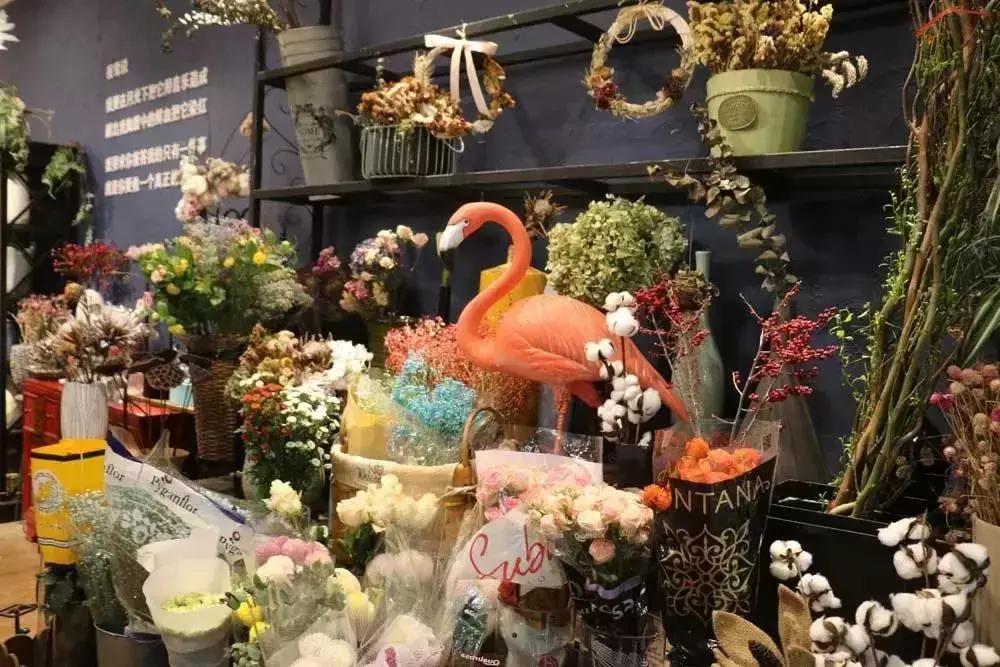 郑州三大花卉市场都是哪个,郑州哪个花卉市场最全