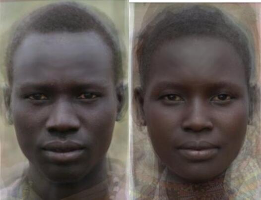 「世界人类图鉴」人类的摇篮：撒哈拉以南非洲居民的平均脸