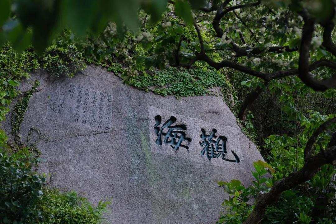 青岛好吃高端的店,青岛有什么很辣很好吃的