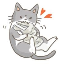 猫咪总吃异物怎么办妙招,猫咪吃纸箱频繁呕吐