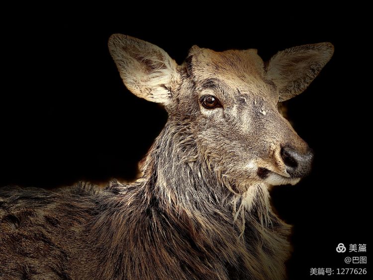 洛阳市宜阳凤凰岭射箭,宜阳县凤凰岭体育基地