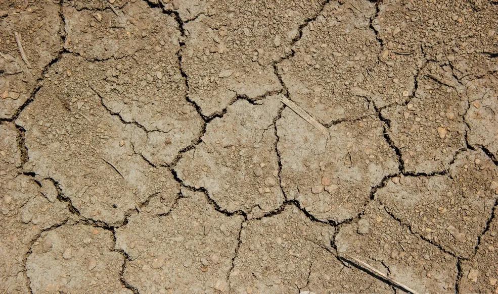 从土壤角度分析如何解决土壤危机,土壤如何改善