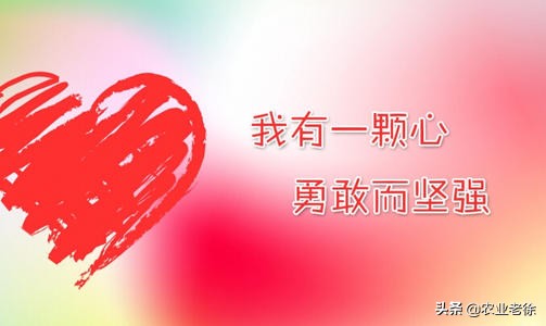 经销商怎么做自己的品牌,经销商要做大品牌还是小品牌