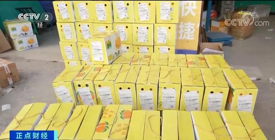 易网购诈骗案,易网购被骗怎么办