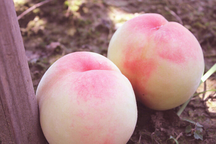 大姨妈量少发黑有血块怎么办,月经颜色发黑量少有异味怎么回事