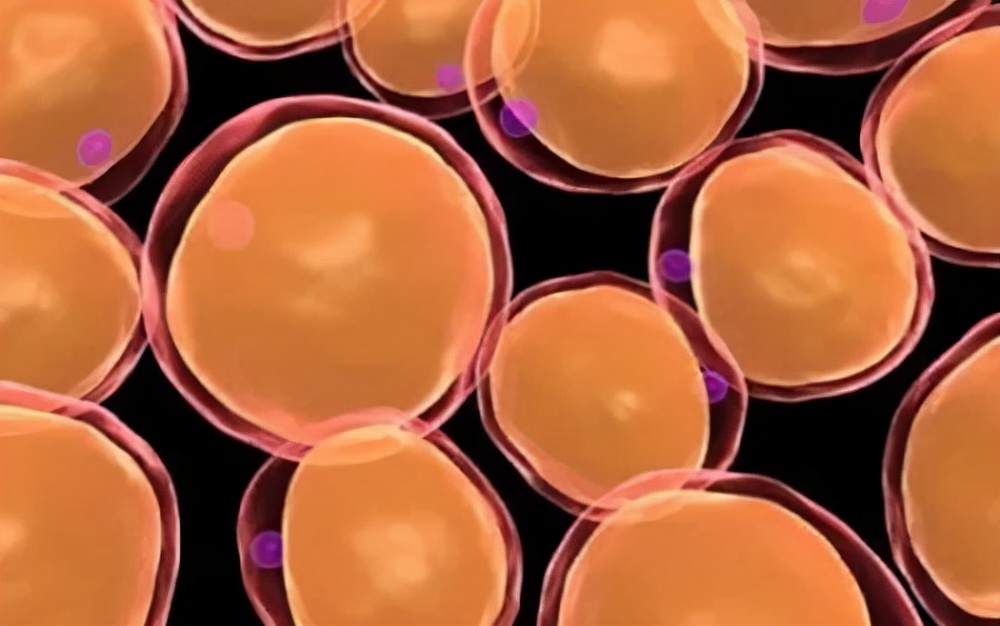 秋季宝宝背出汗怎么处理,易出汗的宝宝该怎样护理