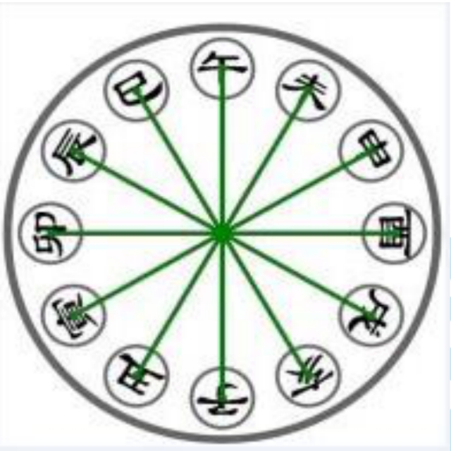 六爻基础知识视频教程,六爻在线排盘预测