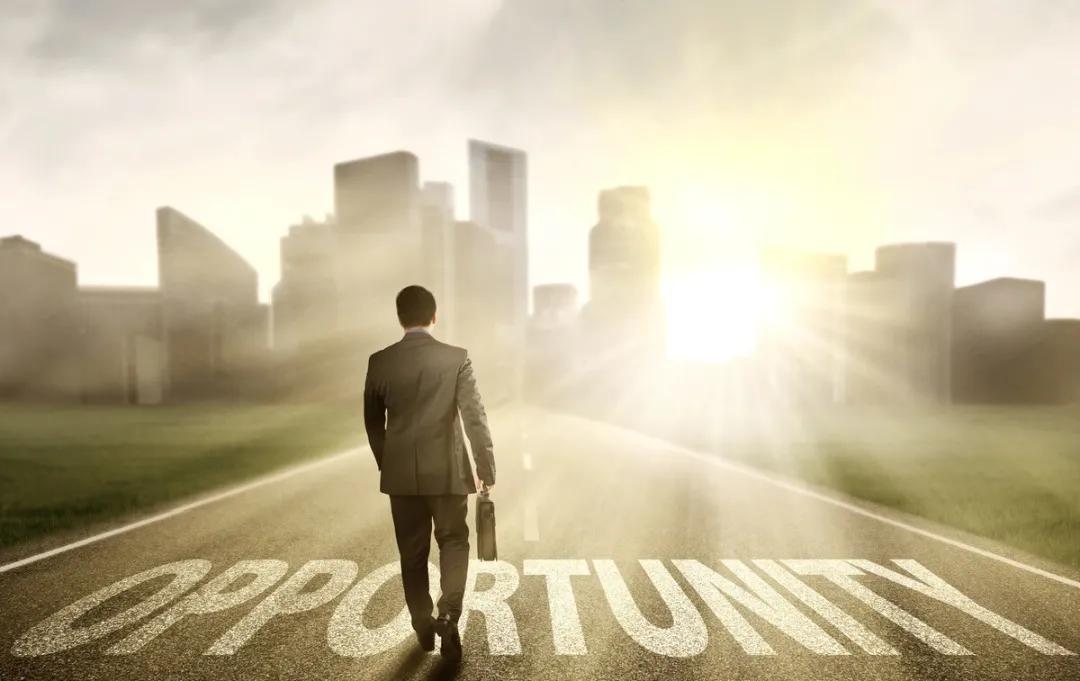 黑天鹅逆袭成长,黑天鹅春节盈利