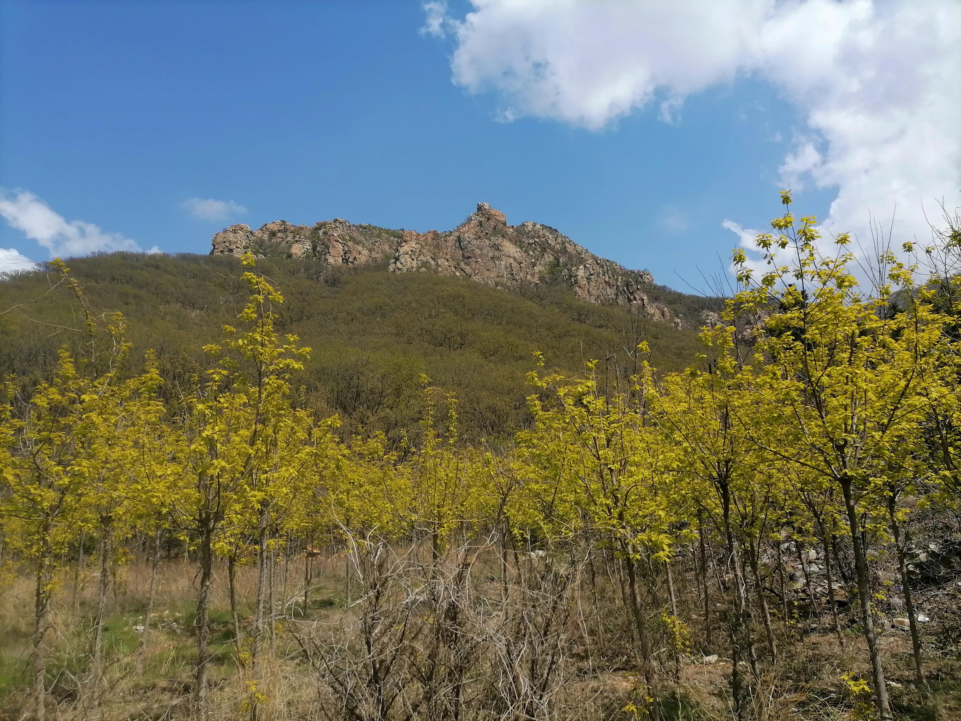 大连金州区，应该如何演义双城记？