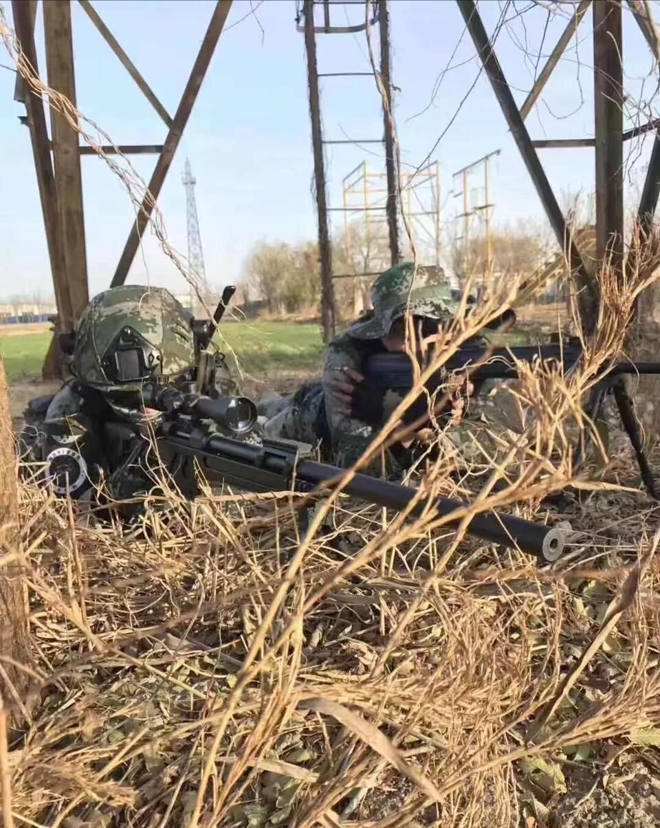 国产十大冷门狙击枪,国产高精狙cs-lr13