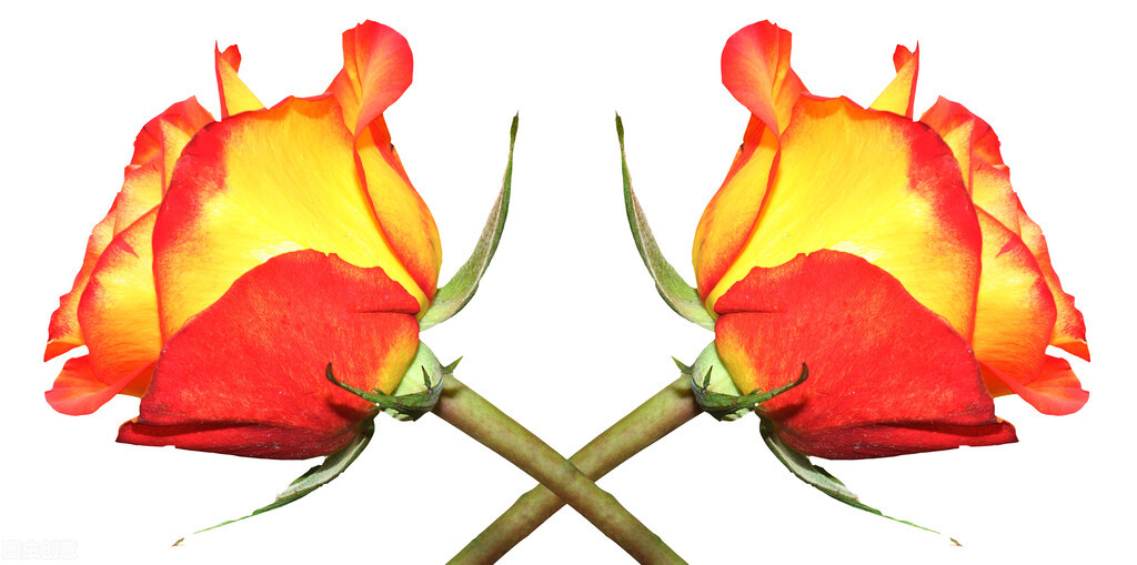 惹对象生气怎么让他理你,当对象惹你生气怎么办