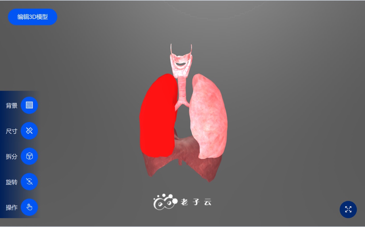 大前端,无所不能的前台视频