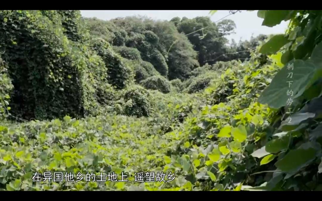 一段令人难忘的日本历史,一口气看完日本人的历史