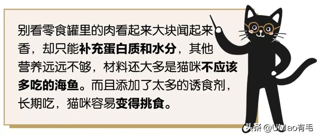 零食罐和主食罐吃哪个,主食罐零食罐