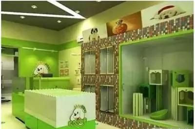 未来10大暴利行业创业点子,适合穷人的15个冷门创业项目生意