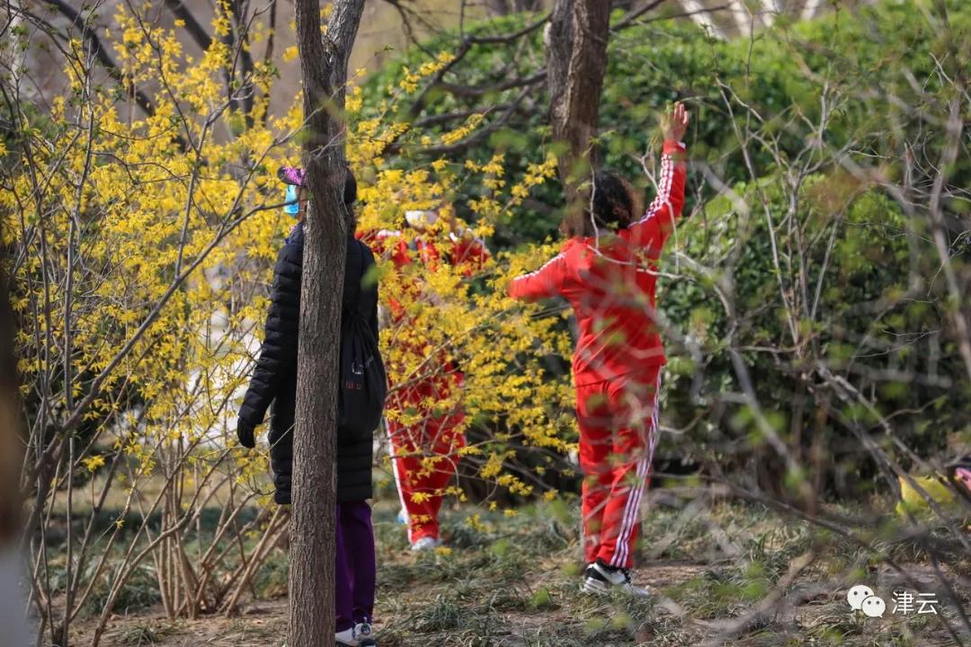 天津东疆亲海公园2022年开放吗,天津2022哪些公园恢复开放