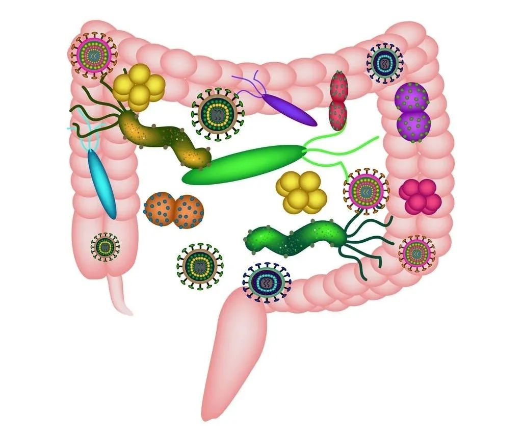 目前对合生元最官方的定义是什么,合生元是真的假的