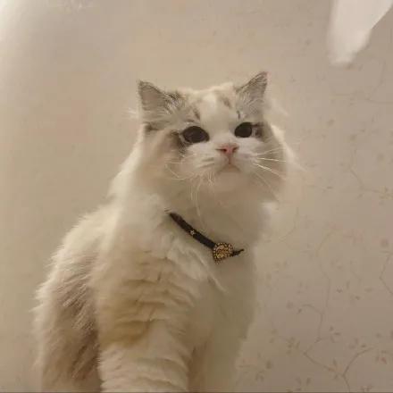 李嫣回应被质疑炫富,李嫣疑不满闺蜜聚会遭曝光