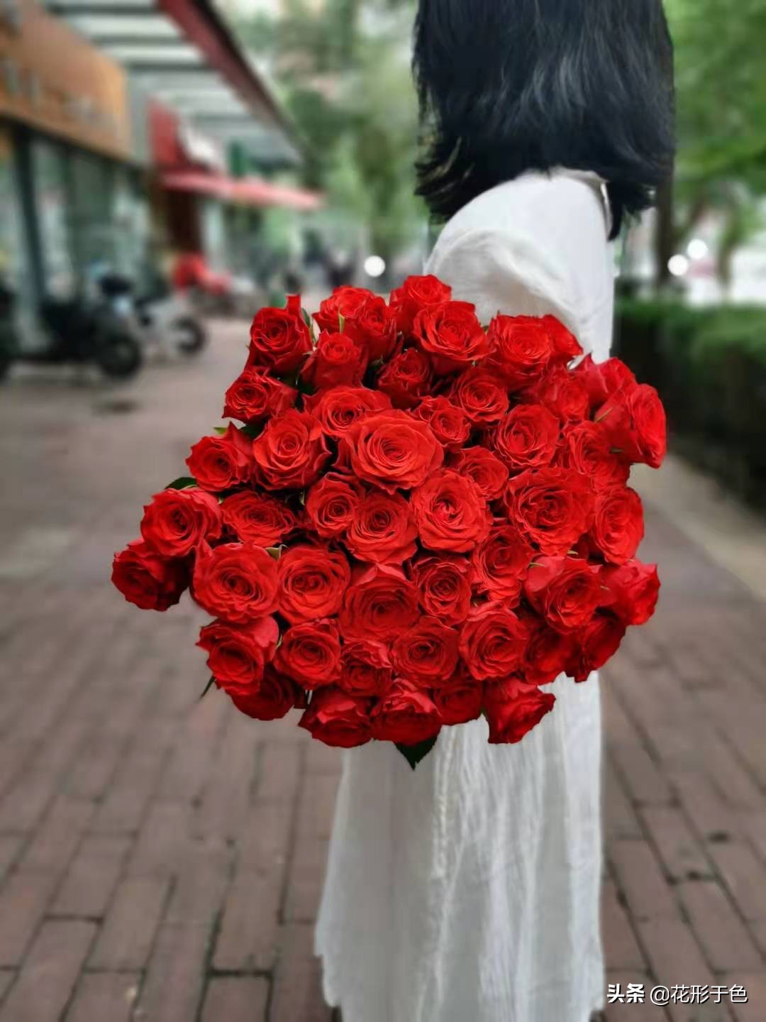 玫瑰品种品鉴,玫瑰花品鉴