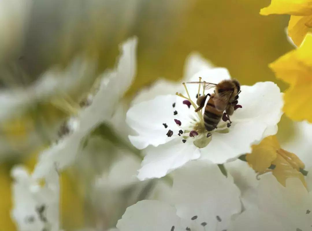 自驾旅游沿着g30高速公路看风景,沿g318去拉萨一路海拔