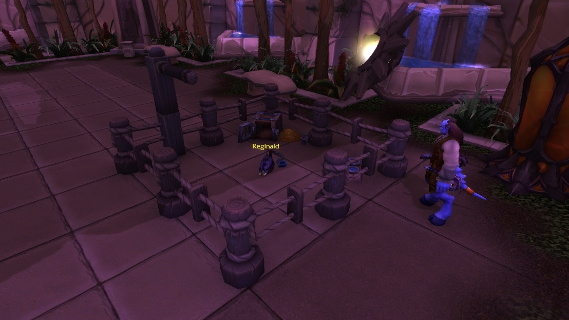 魔兽世界9.27部落蜜蜂宠物,魔兽世界8.3蜜蜂坐骑攻略