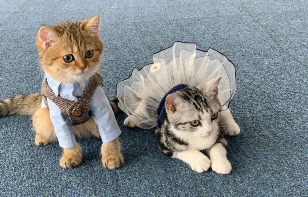 天津天塔内部长什么样,天津天塔柱子里有什么