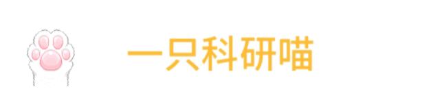 原创论文模板网站免费推荐,国外论文素材网站排名前十
