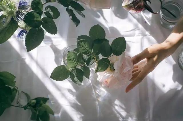 9平米花店,有4间铺面开花店怎样设计