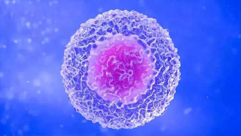 干细胞治疗前列腺炎最新临床研究进展