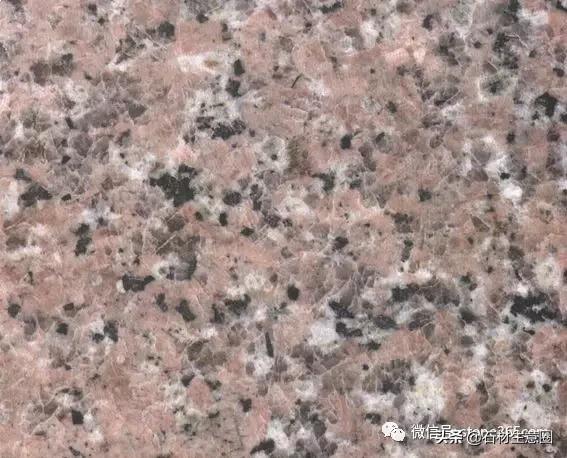 花岗岩品种大全简介,红色系花岗岩大全