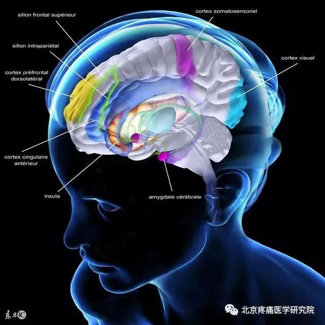 偏头痛的症状和中医治疗方法,请问偏头痛的病因病机是什么
