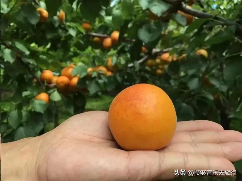 四川阿坝我的家乡,我的家乡汶川特色美景