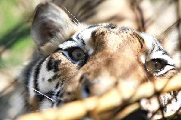 春游江淮请你来滁州版,春游江淮等您来