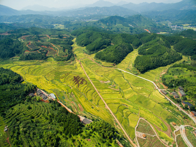 巴马长寿老人趣闻,巴马长寿老人最多的地方