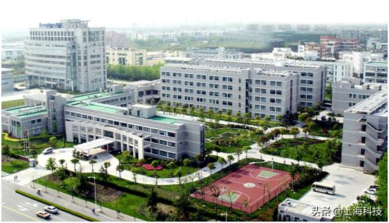 中青心语丨面对浦东一片农田,中科院上海药物所怎样割舍繁华