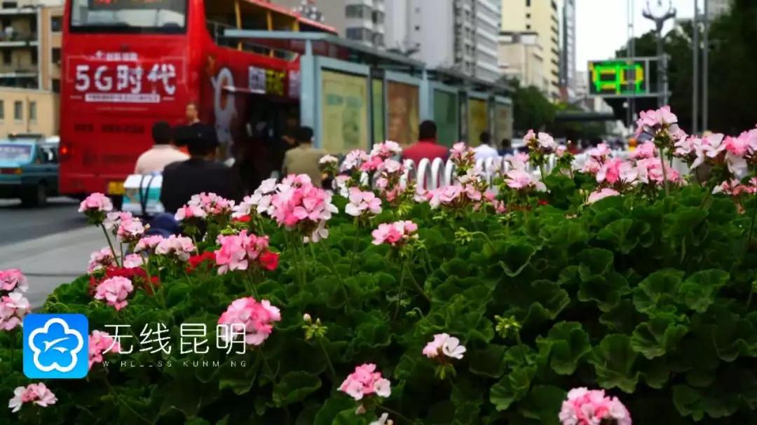 昆明哪有好玩的地方,昆明市内有什么好玩的地方