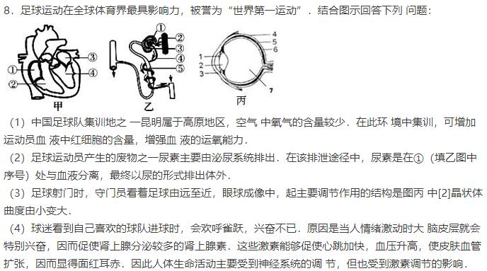 你不看足球就不知道足球的魅力,足球影响力到底有多大