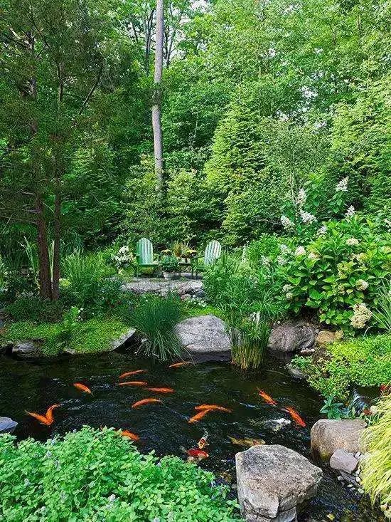 池塘制作方法大全,如何制作自家小池塘